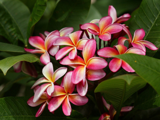 432811 (a): :1600x1200